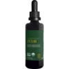 Tulsi/Holy Basil