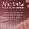 Aloe Vera - Image 2